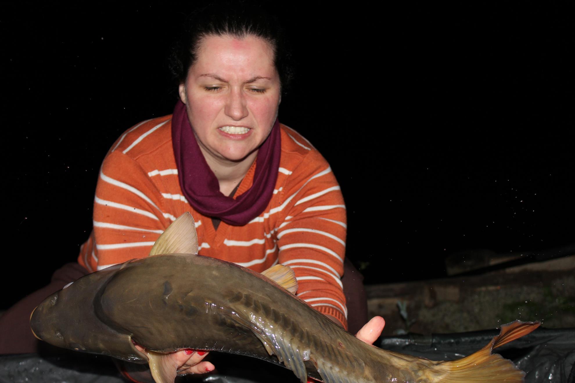 Hermes Peris 7 - 8 iunie 2014 - img7428.JPG